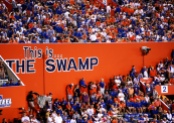 the-swamp1